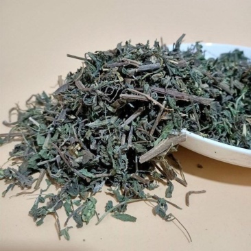 墨旱莲中药洗头墨旱莲旱连草乌发野新鲜旱莲草旱莲草