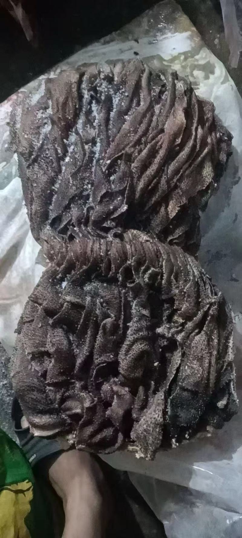 冻百叶，无油，冻百叶，无油，冻百叶，无油，冻百叶，无油，