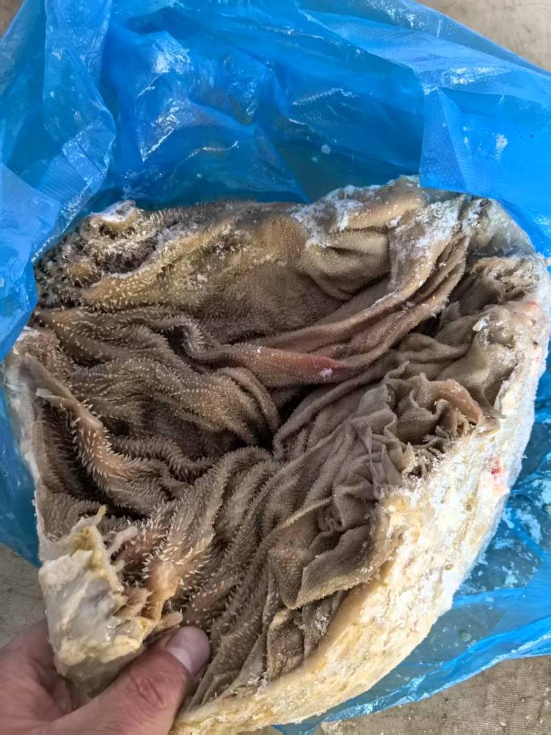 冻百叶，无油，冻百叶，无油，冻百叶，无油，冻百叶，无油，