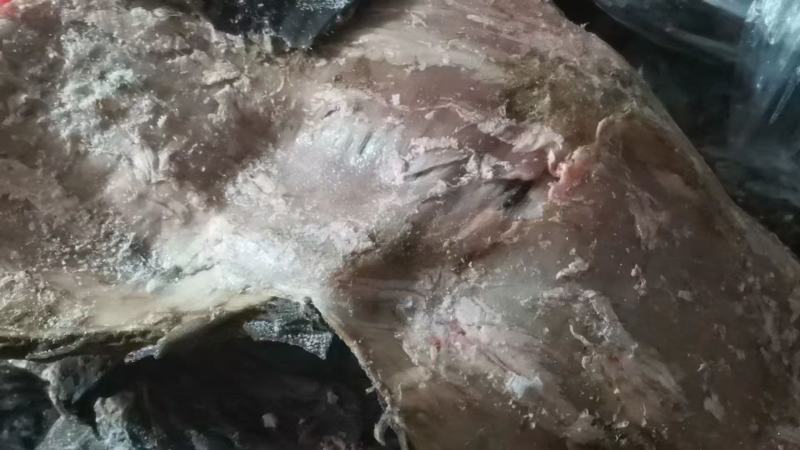 冻百叶，无油，冻百叶，无油，冻百叶，无油，冻百叶，无油，