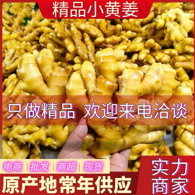 《小黄姜》产地常年供应/坏烂包赔/市场加工厂电商平台
