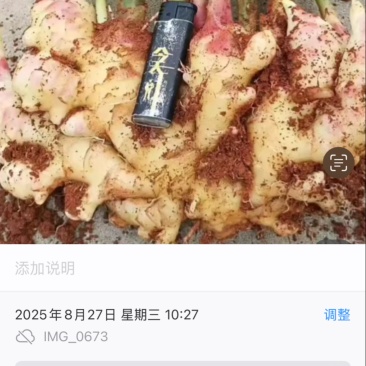 生姜