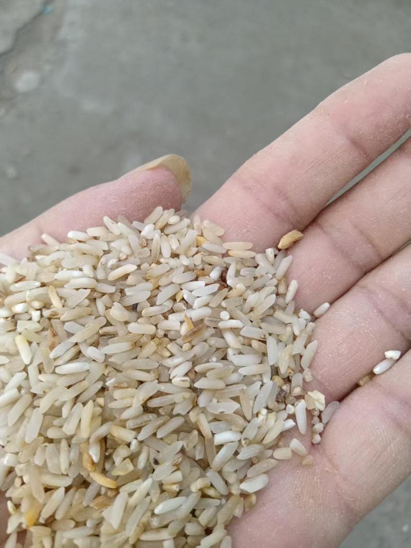 一选黄米，大黄米适用于鸡鸭鹅，厂家直发货源充足，量大价优