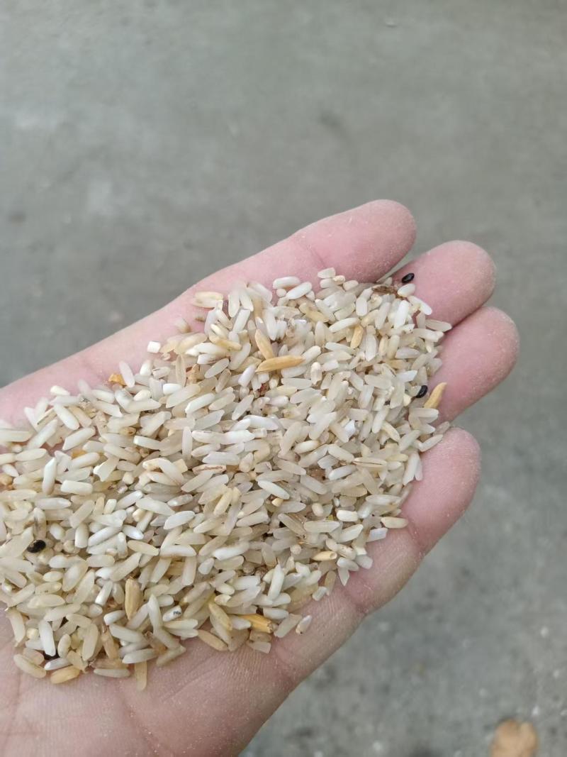 一选黄米，大黄米适用于鸡鸭鹅，厂家直发货源充足，量大价优