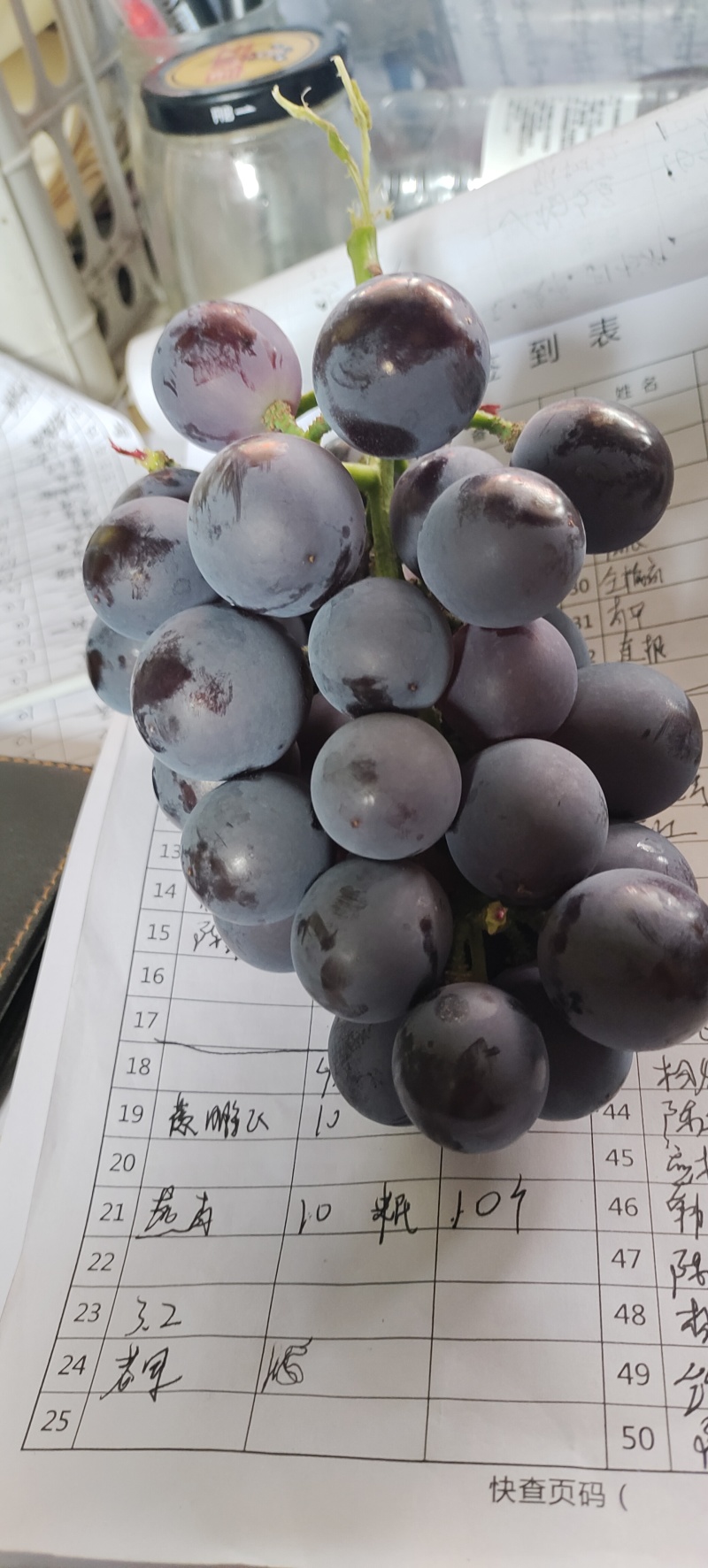 优质巨峰出售…