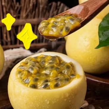 黄金百香果钦蜜9号