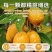 代发竹盐枇杷干新货新鲜琵琶干袋装250g无核果干批发果脯