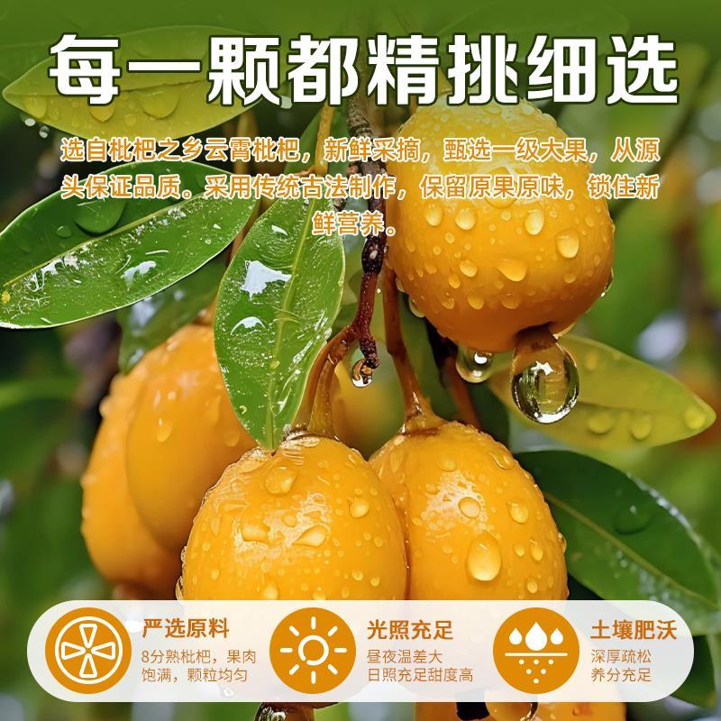 代发竹盐枇杷干新货新鲜琵琶干袋装250g无核果干批发果脯