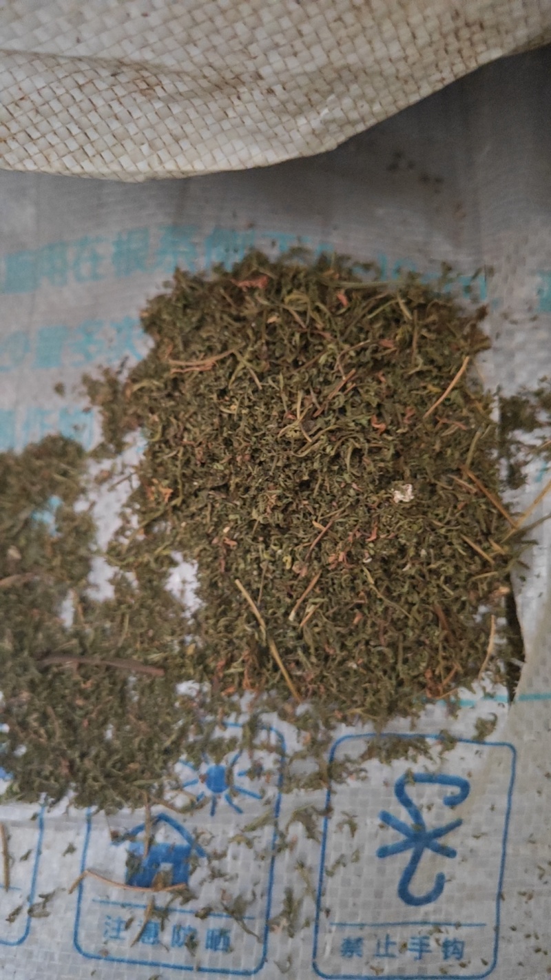 青蒿