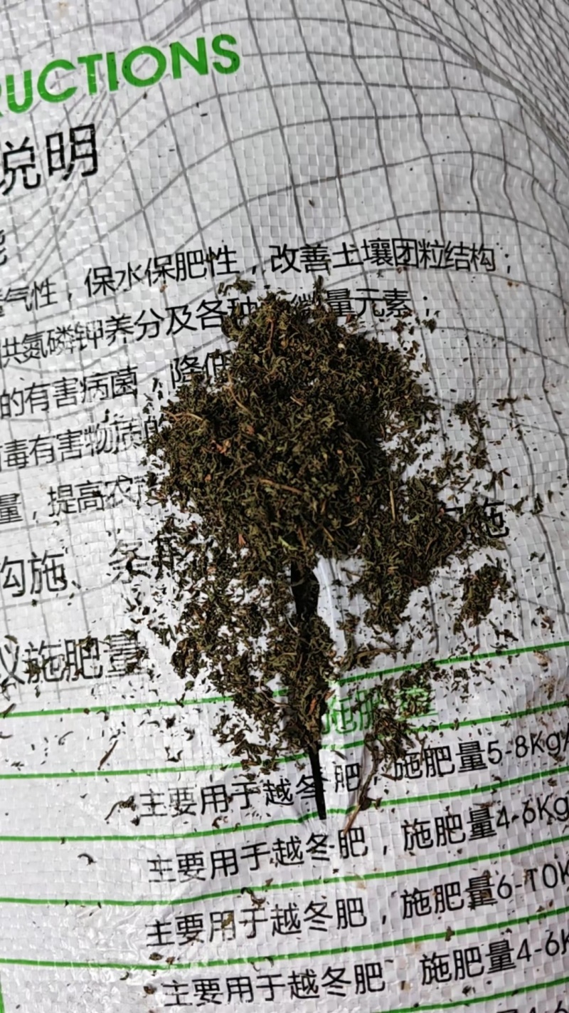 青蒿