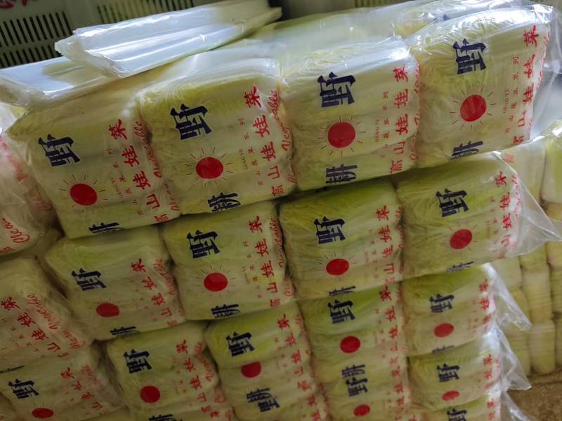 产地直发高原夏菜毛菜精品黄心箱装大娃娃菜