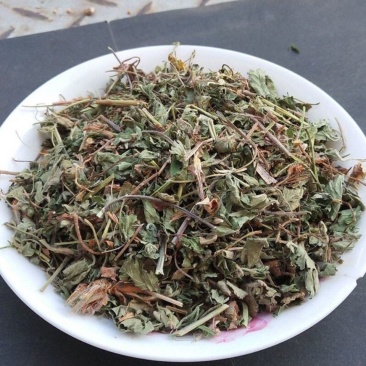 蛇莓中药材店铺蛇莓草干货蛇泡草地莓三叶莓中草药大全