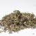 蛇莓中药材店铺蛇莓草干货蛇泡草地莓三叶莓中草药大全