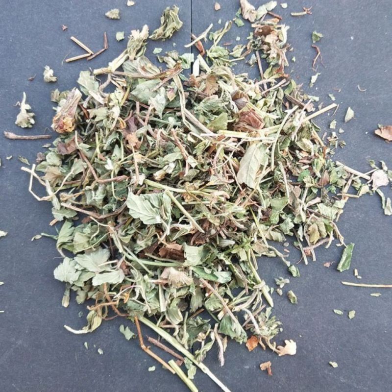 蛇莓中药材店铺蛇莓草干货蛇泡草地莓三叶莓中草药大全