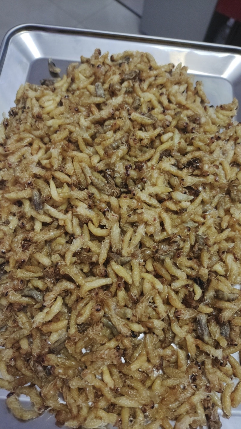 野生新鲜油炸蜂蛹