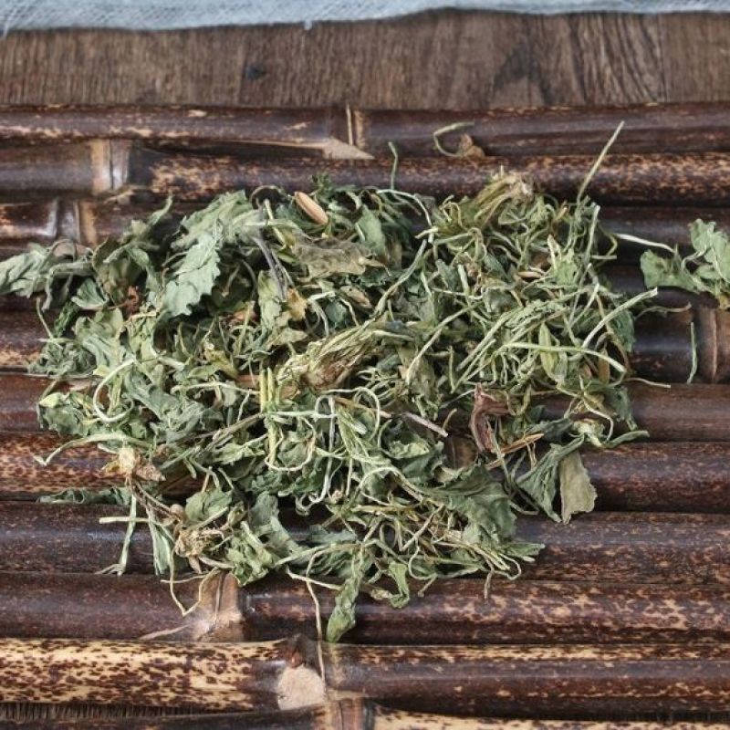 正品紫花地丁中药材正宗新货紫花地丁自然晒干无硫大货批发