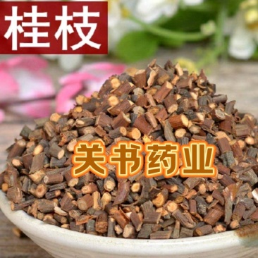 桂枝，桂枝尖，新货生切片关书药业专注品质如图所示