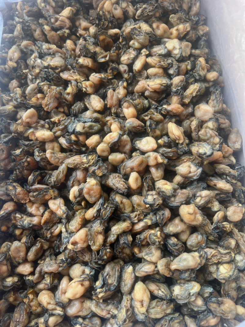 生蚝干地摊电商批发生蚝干牡蛎干蚝鼓金蚝干海蛎干货海产品