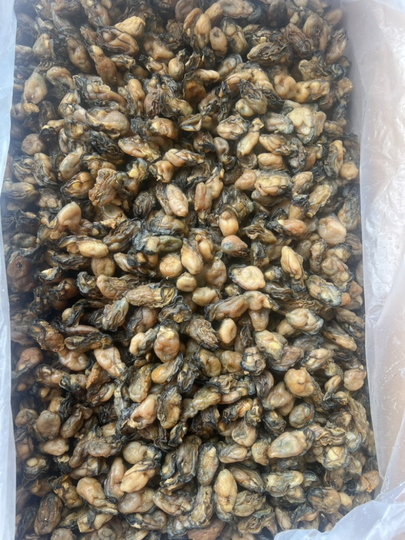 生蚝干地摊电商批发生蚝干牡蛎干蚝鼓金蚝干海蛎干货海产品