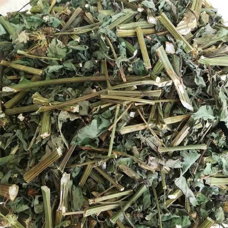 新货野生鬼针草正品三叶鬼针草干有杆中药材鬼针草粘人草鬼叉
