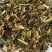 新货野生鬼针草正品三叶鬼针草干有杆中药材鬼针草粘人草鬼叉
