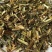 新货野生鬼针草正品三叶鬼针草干有杆中药材鬼针草粘人草鬼叉