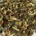 新货野生鬼针草正品三叶鬼针草干有杆中药材鬼针草粘人草鬼叉
