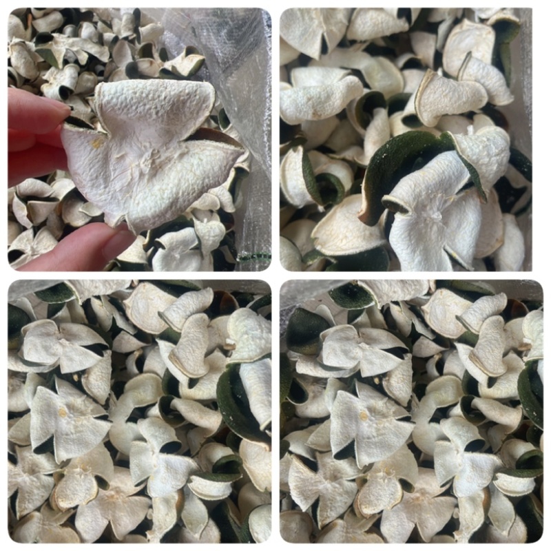 新会三花陈皮地摊电商批发新会三花陈皮青皮陈皮干橘子皮干