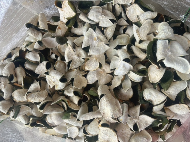 新会三花陈皮地摊电商批发新会三花陈皮青皮陈皮干橘子皮干