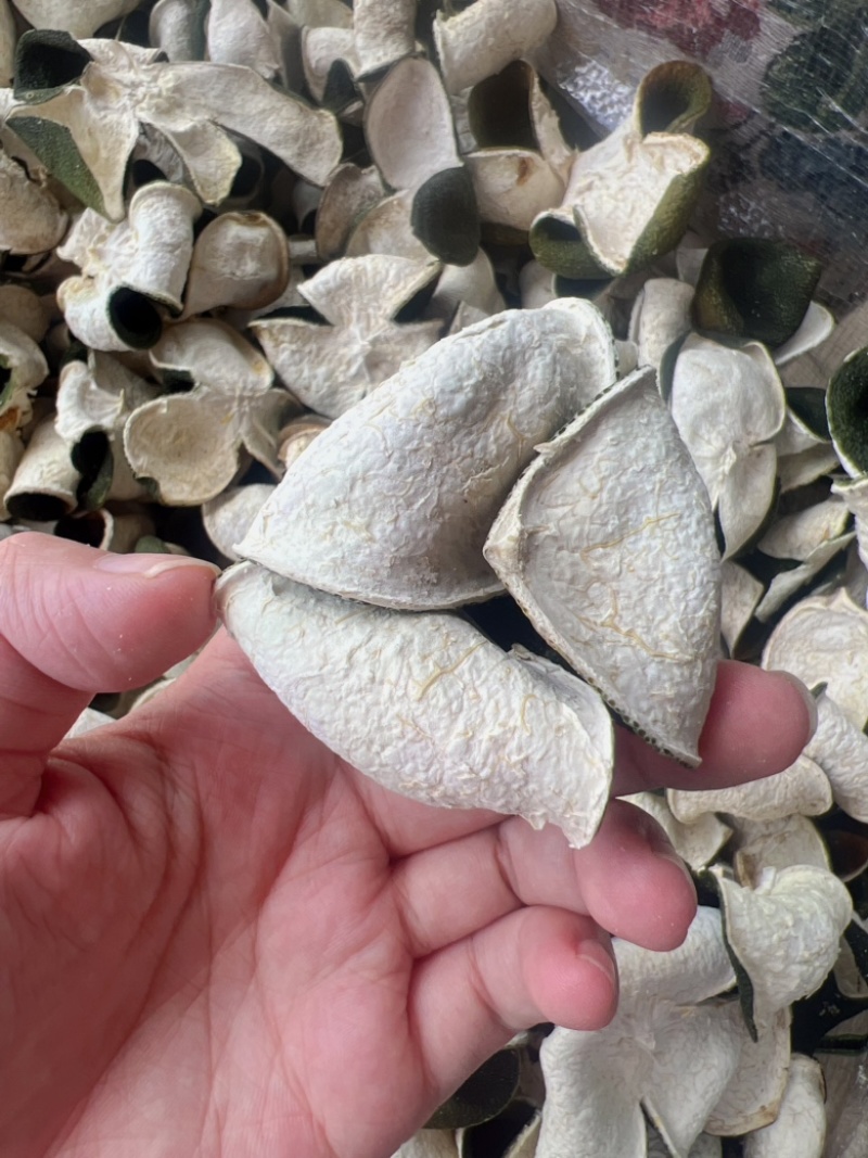 新会三花陈皮地摊电商批发新会三花陈皮青皮陈皮干橘子皮干