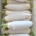 精品长白萝卜大量供应出口外贸边贸量大从优加工合格规格包装