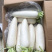 精品长白萝卜大量供应出口外贸边贸量大从优加工合格规格包装