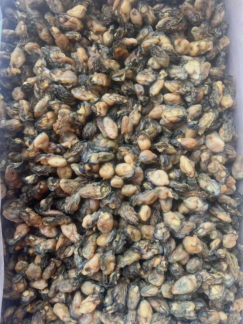 生蚝干地摊电商批发生蚝干牡蛎干蚝鼓金蚝干海蛎干货海产品