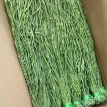 安徽贡菜干，全国发货，诚信经营，可对接电商餐饮商超