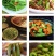 【精选】贡菜干，基地直发，量大从优，餐饮火锅好搭档，诚信经营
