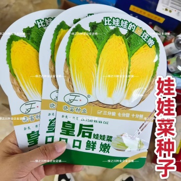 迷你娃娃菜杂交黄心小白菜种籽秋季皇后娃娃菜种子口感鲜嫩