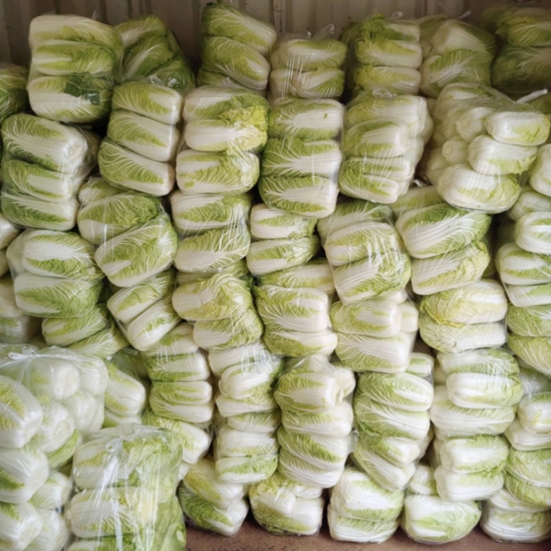 迷你娃娃菜杂交黄心小白菜种籽秋季皇后娃娃菜种子口感鲜嫩
