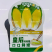 迷你娃娃菜杂交黄心小白菜种籽秋季皇后娃娃菜种子口感鲜嫩