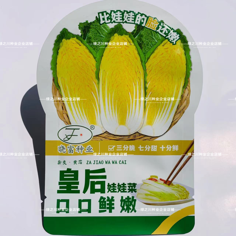 迷你娃娃菜杂交黄心小白菜种籽秋季皇后娃娃菜种子口感鲜嫩
