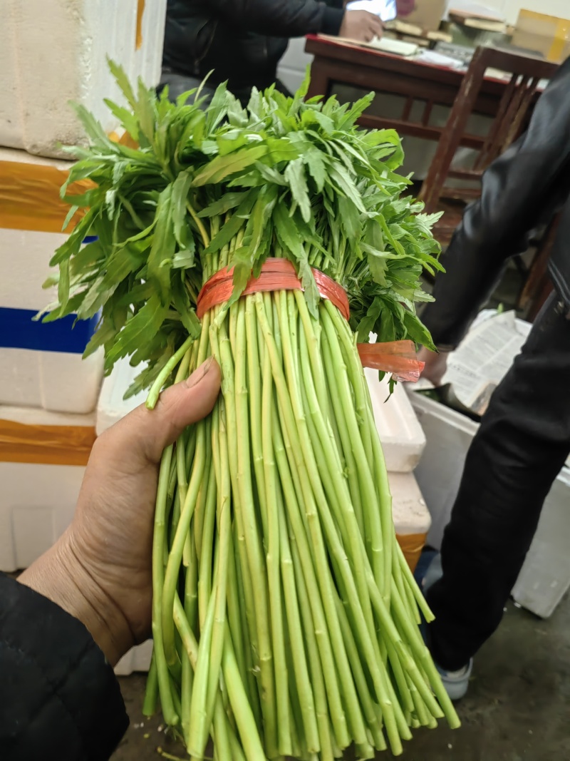 精品湖北云梦货