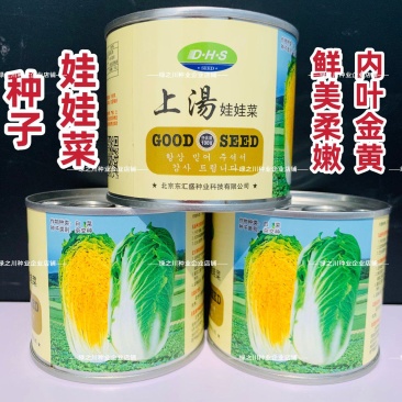 上汤娃娃菜种子精选春秋蔬菜正宗黄心小白菜种子