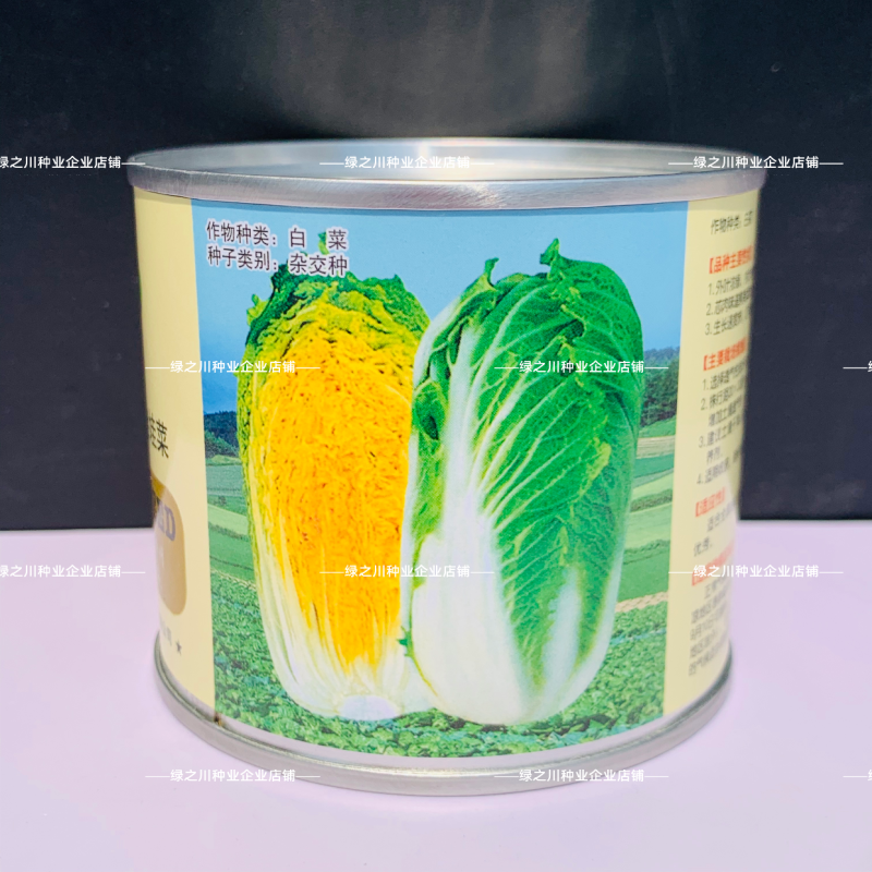 上汤娃娃菜种子精选春秋蔬菜正宗黄心小白菜种子