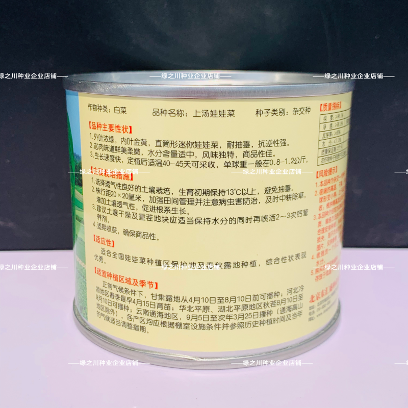 上汤娃娃菜种子精选春秋蔬菜正宗黄心小白菜种子
