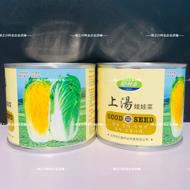 上汤娃娃菜种子精选春秋蔬菜正宗黄心小白菜种子
