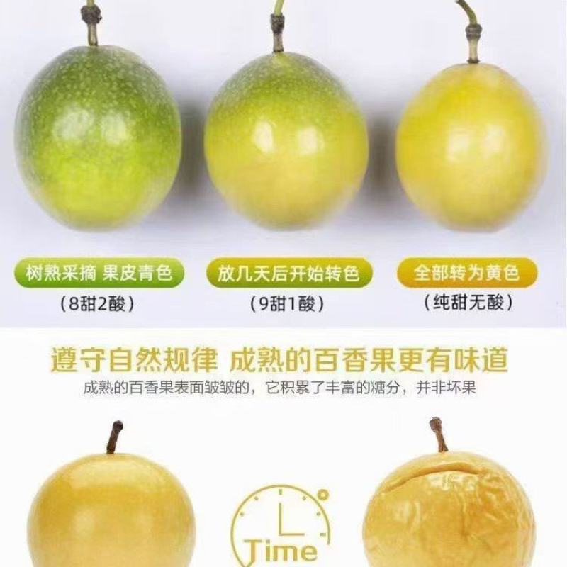 高山百香果