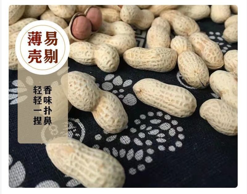 精品原味炒花生带壳熟花生炒熟花生炒花生柴火炒花生