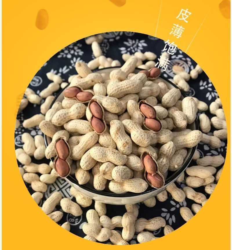 精品原味炒花生带壳熟花生炒熟花生炒花生柴火炒花生