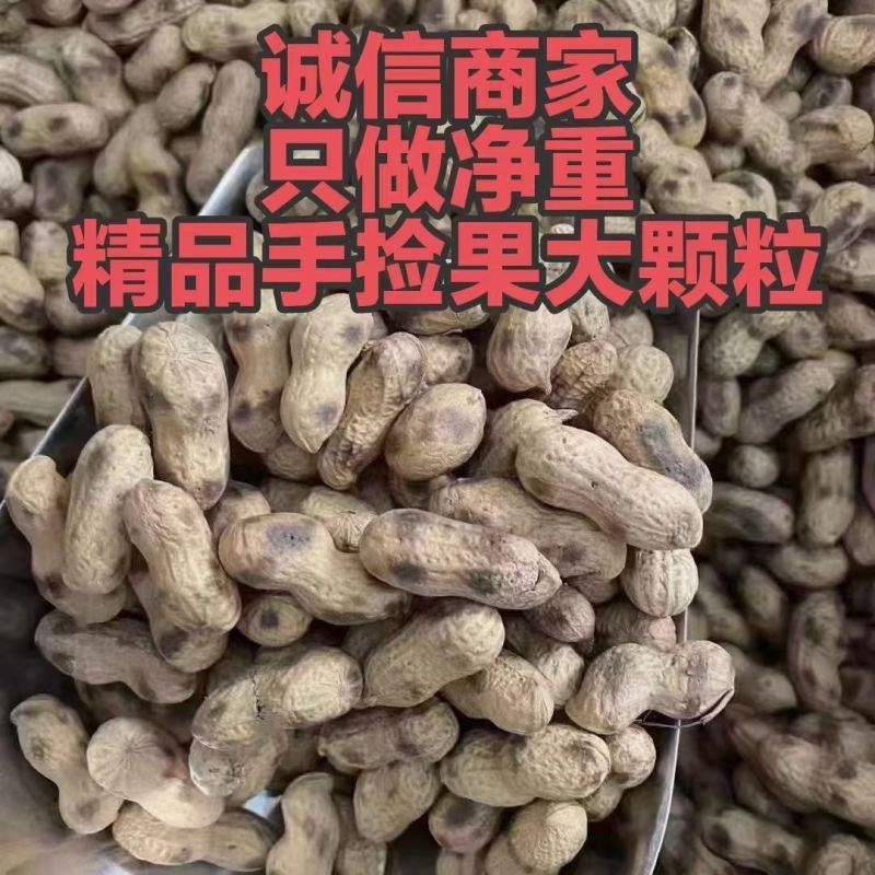 精品原味炒花生带壳熟花生炒熟花生炒花生柴火炒花生