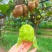 眉县猕猴桃🥝