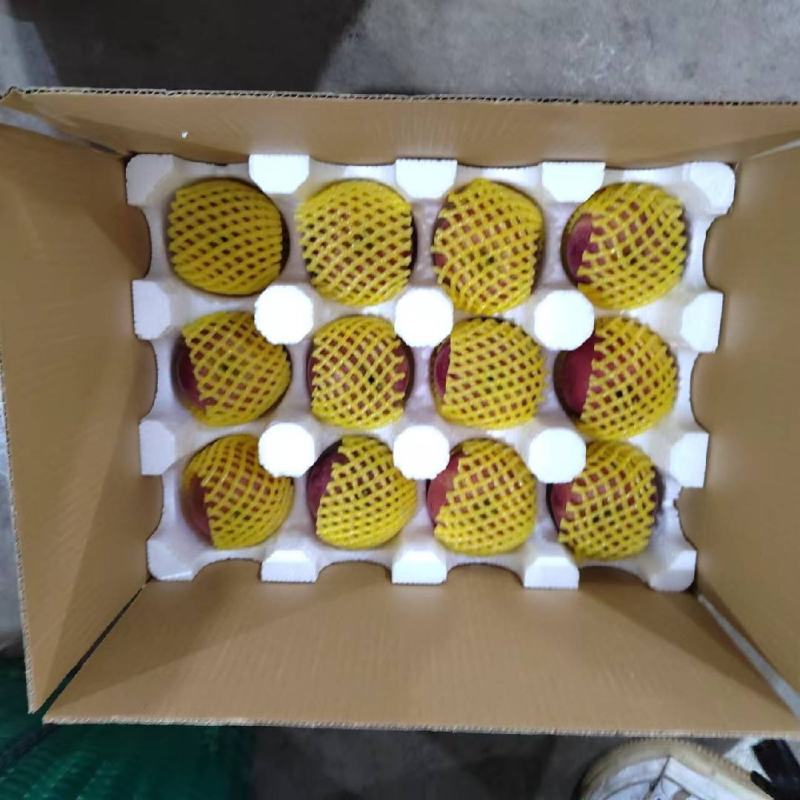 昭通糖心丑苹果红露苹果